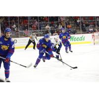 Saint John Sea Dogs battle the Moncton Wildcats