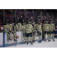 Muskegon Lumberjacks along the bench