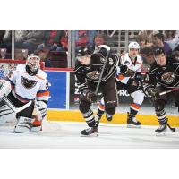 Lehigh Valley Phantoms goaltender Pat Nagle vs. the Hershey Bears