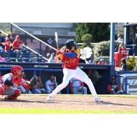 Reading Fightin Phils at the plate