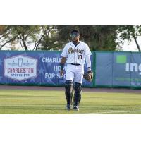 Charleston RiverDogs catcher Luis Leon