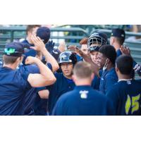 Columbia Fireflies congratulate Omar Hernandez on his game-winning hit