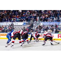 Belleville Senators battle the Toronto Marlies