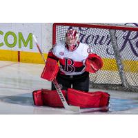 Belleville Senators goaltender Filip Gustavsson