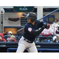 Somerset Patriots outfielder Blake Perkins