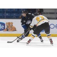 Saint John Sea Dogs centre Ryan Francis vs. the Cape Breton Eagles