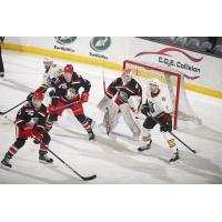 Grand Rapids Griffins defend against the Chicago Wolves