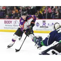 Reading Royals forward Patrick Bajkov prepares to unleash a shot against the Maine Mariners