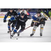 Saint John Sea Dogs left wing Olivier Picard vs. the Cape Breton Eagles