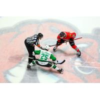 Texas Stars face off with the Rockford IceHogs