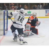 Cam Hausinger of the Wheeling Nailers scores against the Fort Wayne Komets