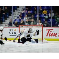Vancouver Giants goaltender Jesper Vikman vs. the Everett Silvertips