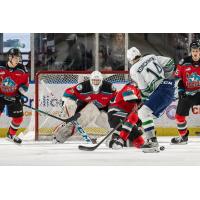 Kelowna Rockets goaltender Talyn Boyko vs. the Seattle Thunderbirds