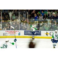 Maine Mariners celebrate a goal in front of the home crowd