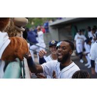 Charleston RiverDogs exchange fist bumps with the mascot