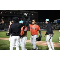 Saul Torres of the Somerset Patriots receives congratulations after he was hit by a pitch