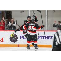 Belleville Senators celebrate a goal