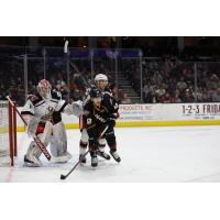 Grand Rapids Griffins goaltender Victor Brattstrom vs. the Cleveland Monsters