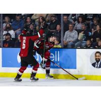 Vancouver Giants right wing Fabian Lysell