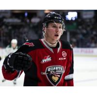 Vancouver Giants left wing Adam Hall