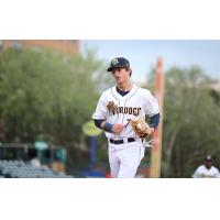 Charleston RiverDogs shortstop Carson Williams