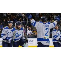 Jacksonville Icemen react after a goal