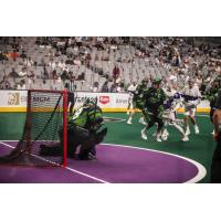 Saskatchewan Rush netminder Cameron Dunkerley