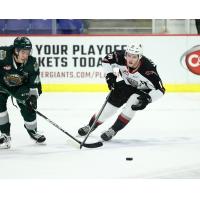 Vancouver Giants forward Zack Ostapchuk
