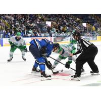 Jacksonville Icemen face off with the Florida Everblades