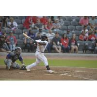 Fayetteville Woodpeckers outfielder Quincy Hamilton