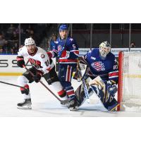 Belleville Senators left wing Matthew Wedman vs. the Rochester Americans