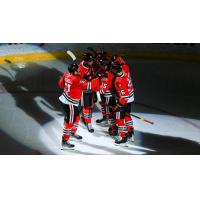Rockford IceHogs celebrate a goal