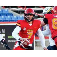 University of Calgary Dinos quarterback Matteo Spoletini