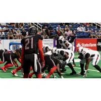 Jacksonville Sharks in action
