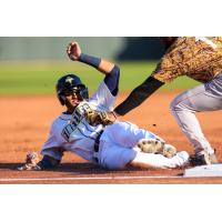 Guillermo Quintana of the Columbia Fireflies