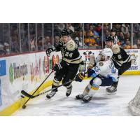 Wheeling Nailers defenseman Josh Maniscalco vs. the Toledo Walleye