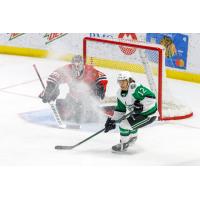 Texas Stars center Riley Damiani vs. the Rockford IceHogs