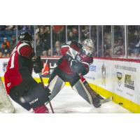 Vancouver Giants goaltender Jesper Vikman