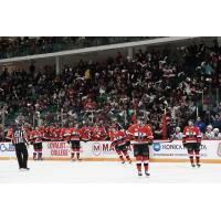Belleville Senators fans salute their team