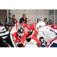 Belleville Senators goaltender Filip Gustavsson vs. the Rochester Americans