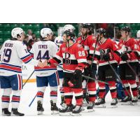 Belleville Senators shake hands with the Rochester Americans