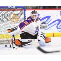 Reading Royals goaltender Pat Nagle tips aside a shot