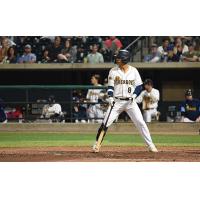 Charleston RiverDogs catcher Michael Berglund at the plate