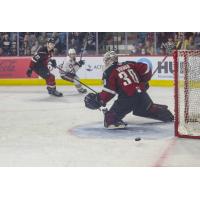 Vancouver Giants goaltender Jesper Vikman vs. the Kamloops Blazers