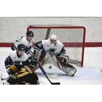 North Iowa Bulls goaltender Kyle Kozma