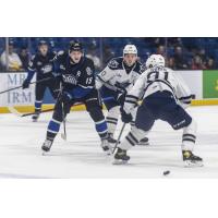 Saint John Sea Dogs centre Philippe Daoust (left) vs. the Rimouski Oceanic