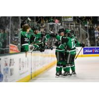 Texas Stars celebrate a goal