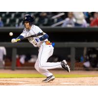 Enrique Valdez of the Columbia Fireflies