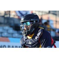 Charleston RiverDogs catcher Luis Leon