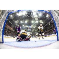 Reading Royals score against the Newfoundland Growlers